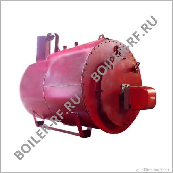 Паровой котел 300 кг/ч газовый