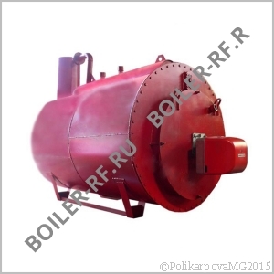 Паровой котел 300 кг/ч газовый
